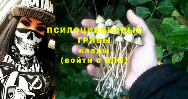 Альфа ПВП Зерноград