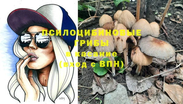 тгк Зеленокумск