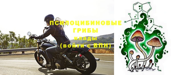 ПСИЛОЦИБИНОВЫЕ ГРИБЫ Зеленодольск
