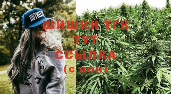 тгк Зеленокумск