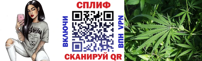 Купить Железногорск-Илимский Бошки Шишки MAZAR